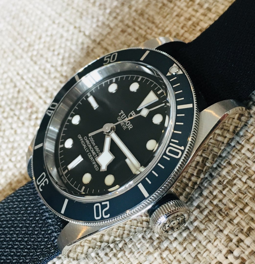 Tudor 29.8.jpg