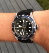 Tudor salg 3.jpg Tudor salg 3.jpg