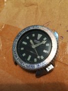 IMG_20190925_175422.jpg