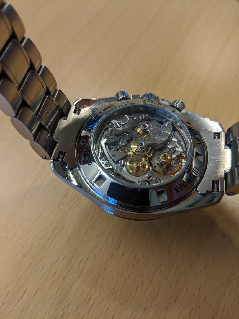 Speedy4.jpg Speedy4.jpg