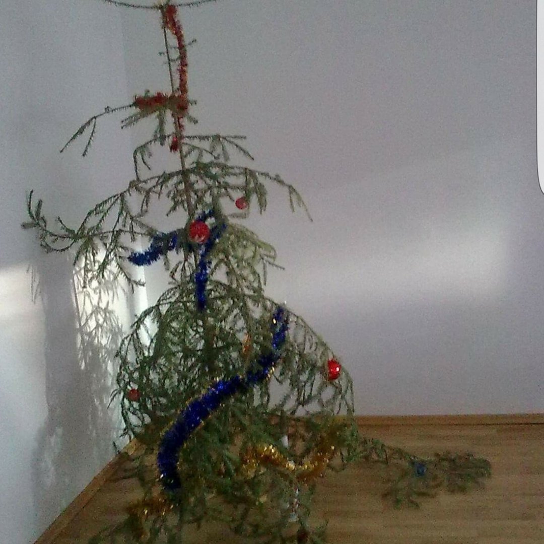 IMG_20181221_185202_556.jpg IMG_20181221_185202_556.jpg