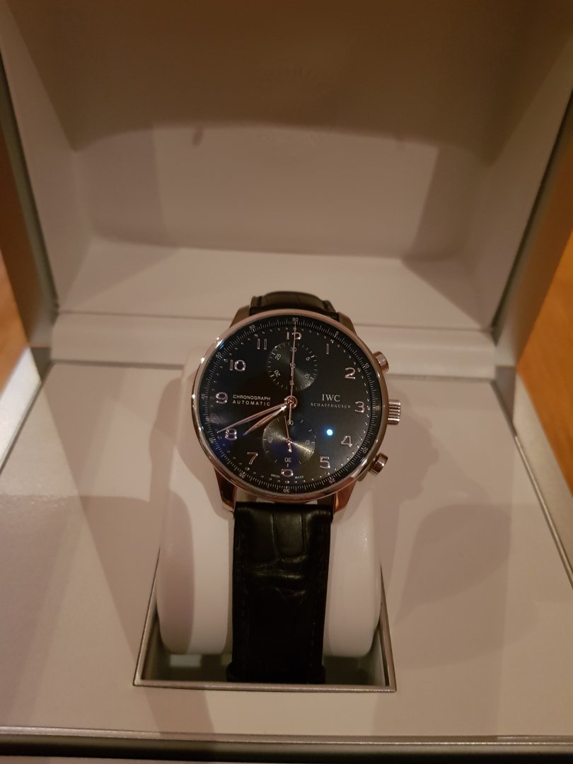 IWC.jpg