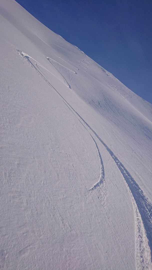DSC_0082.JPG