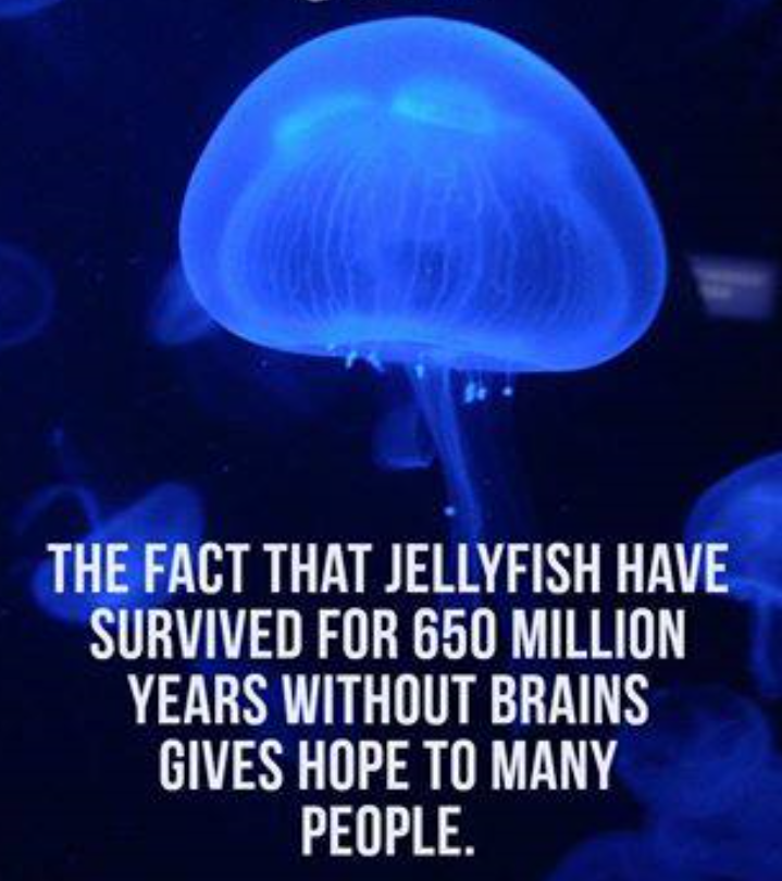 Det er haap - Noen klarer seg bra.png