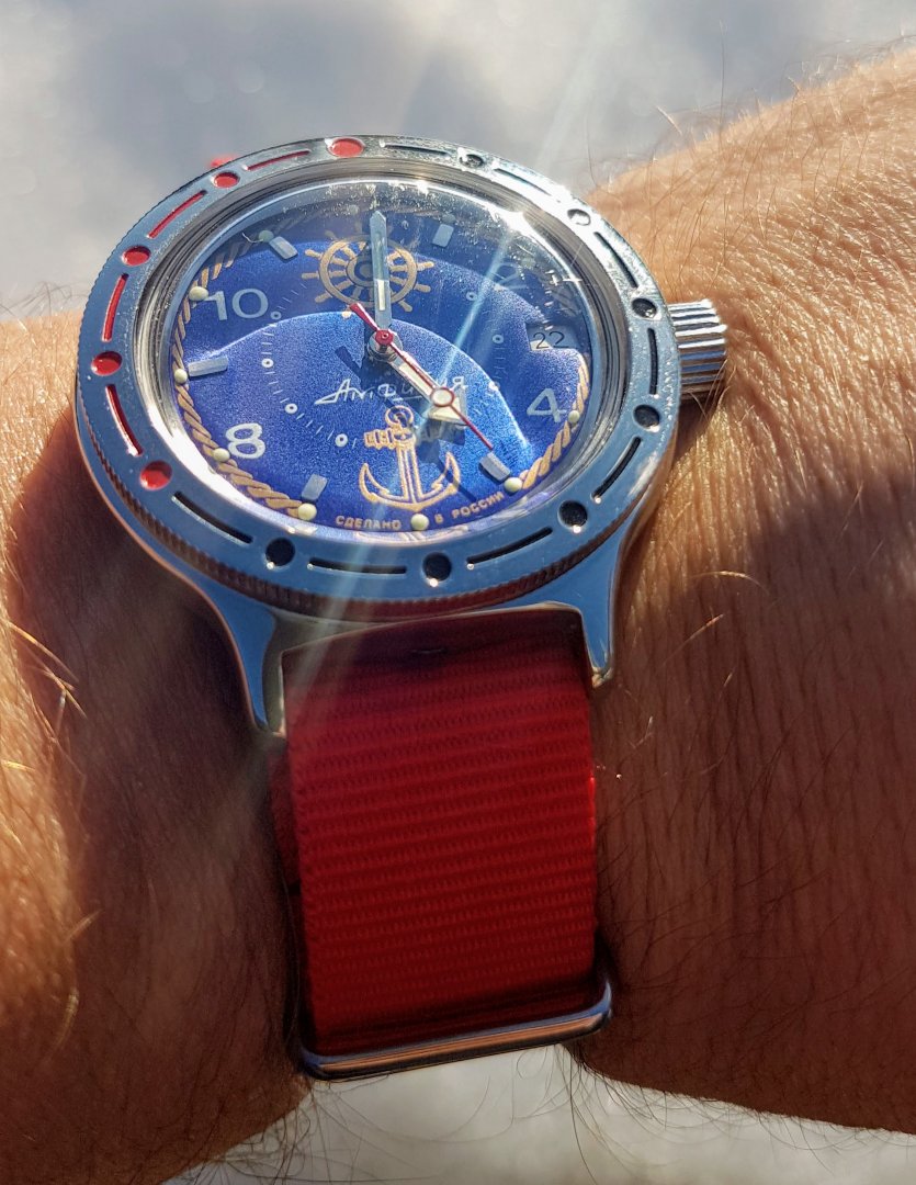 vostok amphibia.jpg