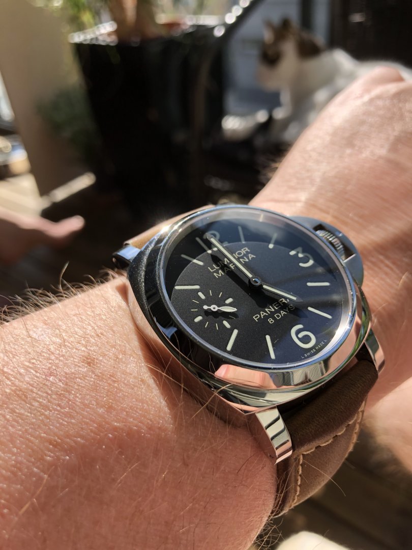 0026B735-64B1-4BAB-9CE3-2CCBA419F810.jpeg 0026B735-64B1-4BAB-9CE3-2CCBA419F810.jpeg