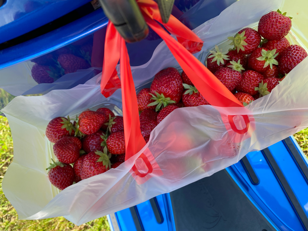 B800C76B-7C14-453E-97E0-636B055191AF.png B800C76B-7C14-453E-97E0-636B055191AF.png