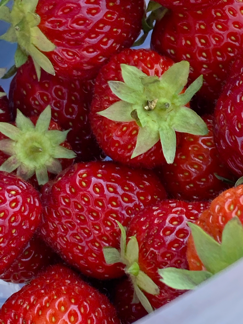 B4457AAB-D068-46B2-A0FE-CA6C9AB89BB0.png B4457AAB-D068-46B2-A0FE-CA6C9AB89BB0.png