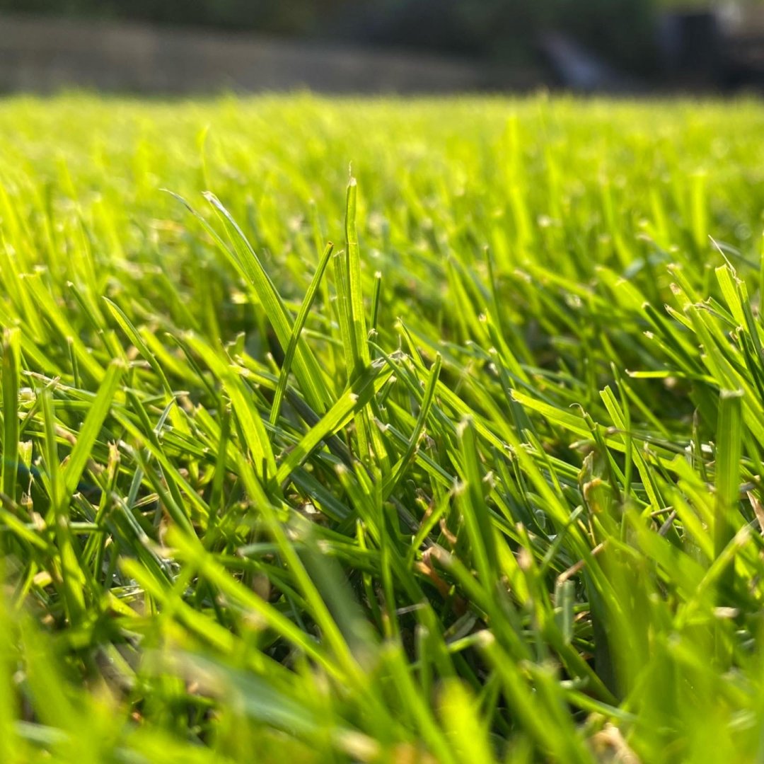 AAAD23DC-307C-4DAB-8E65-0AADD83ADBE8.jpeg AAAD23DC-307C-4DAB-8E65-0AADD83ADBE8.jpeg