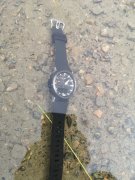IMG_20200705_140806.jpg
