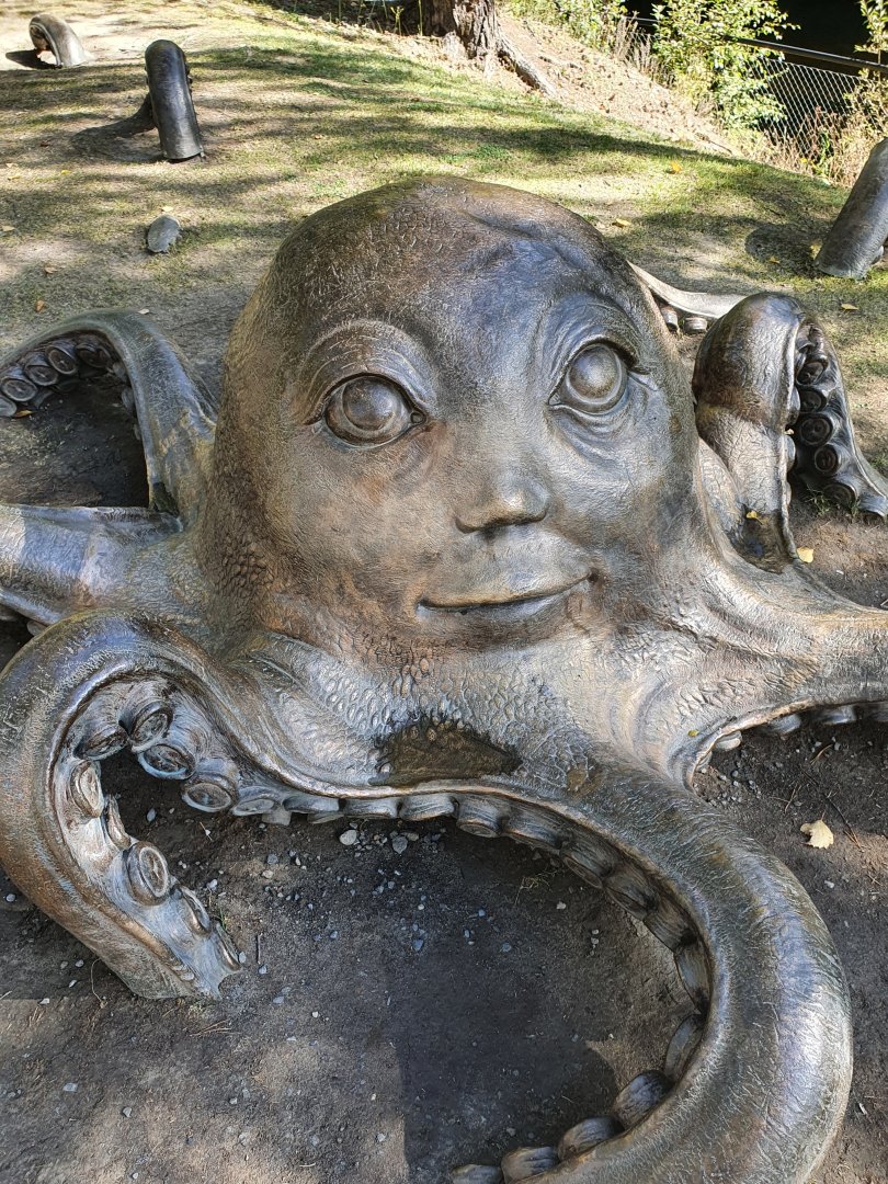 20200904_130413.jpg