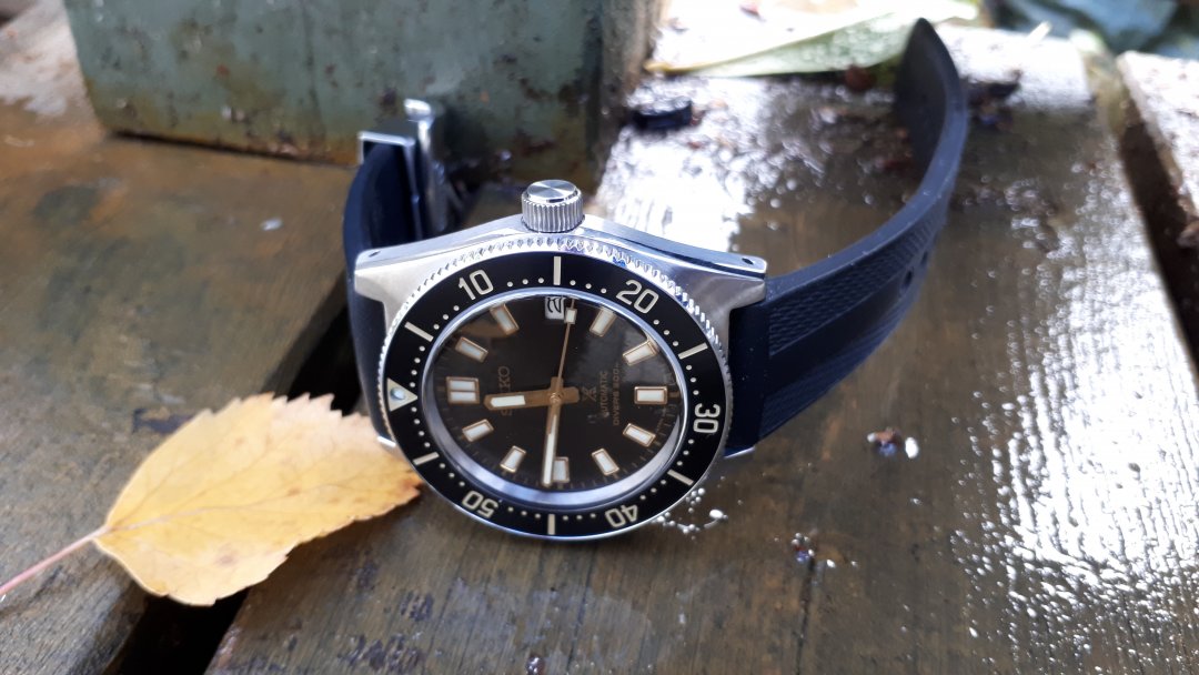 20201102_114419.jpg