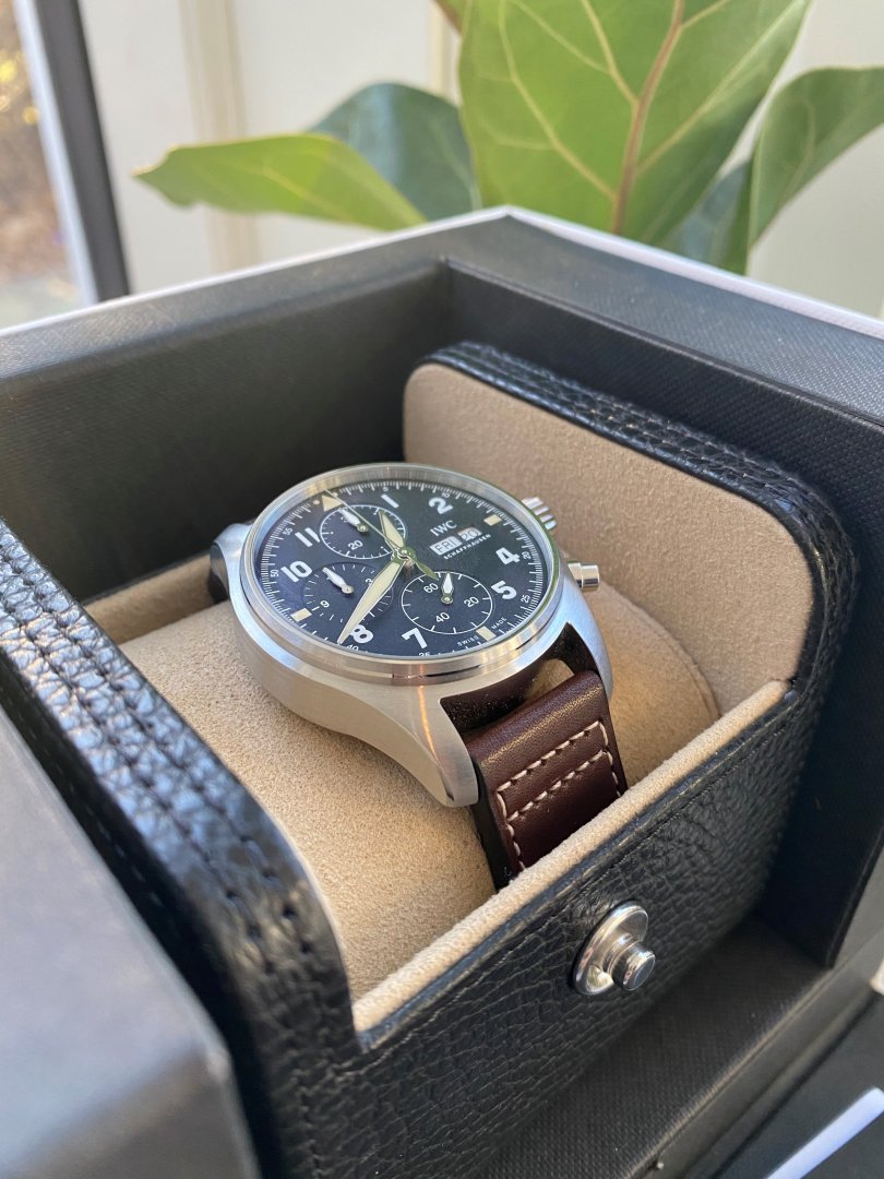 iwc.jpg iwc.jpg