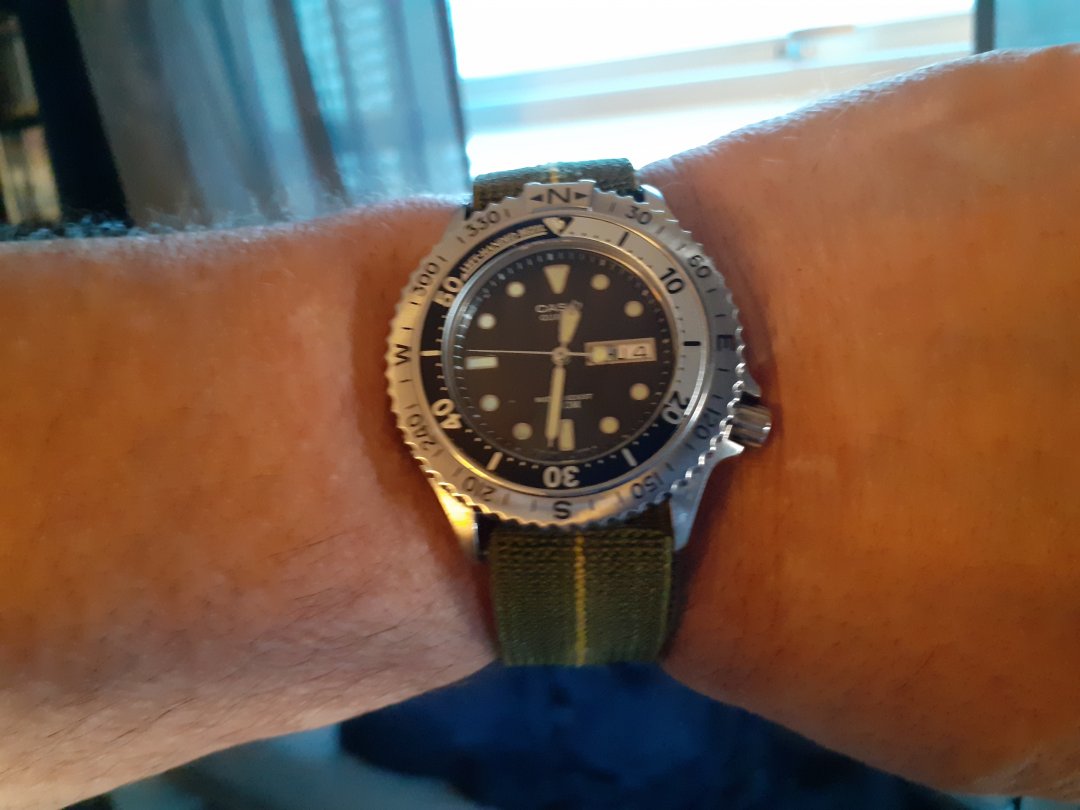 20210204_123147.jpg 20210204_123147.jpg