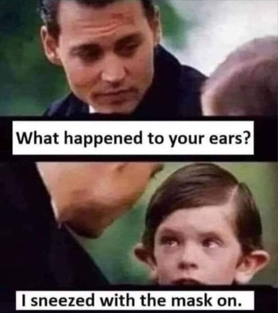 ears.jpeg