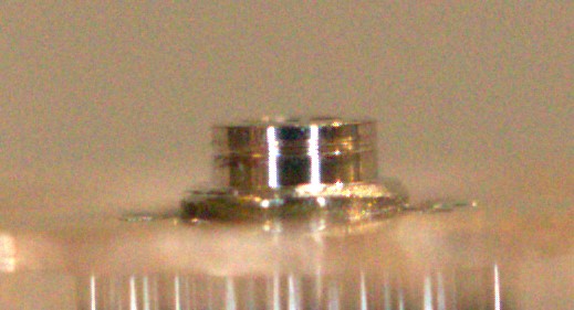 IMG_0061 (2).jpg IMG_0061 (2).jpg