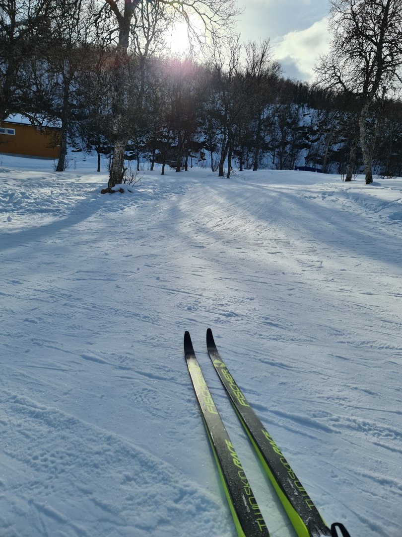 20210316_110430.jpg