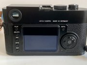 IMG_9168.jpeg