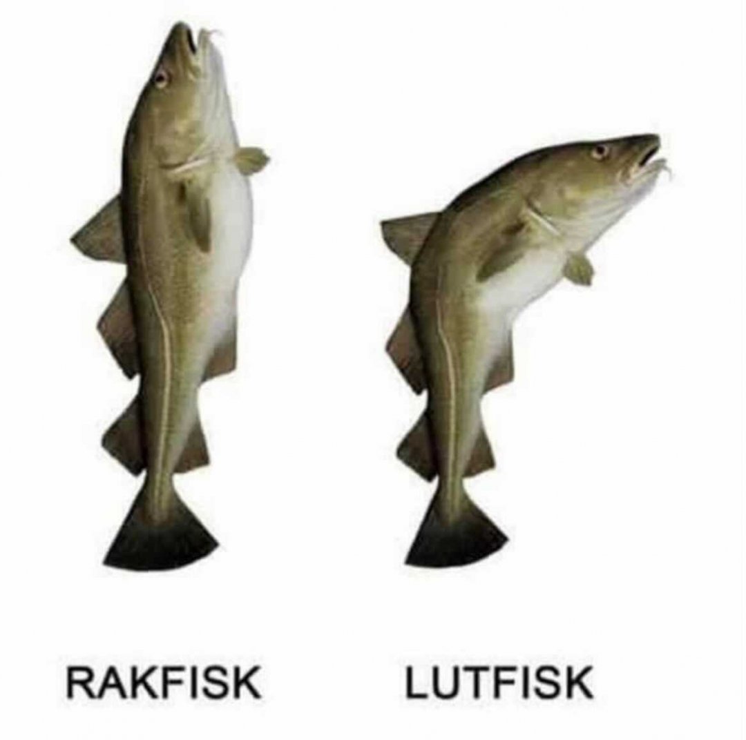 Rak og lut fisk.jpg