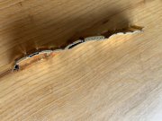 Image from iOS (5).jpg