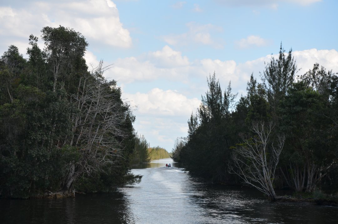 DSC_4872.JPG