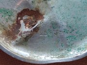 IMG_20220810_085743360.jpg