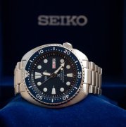 221_923244217.jpeg 221_923244217.jpeg