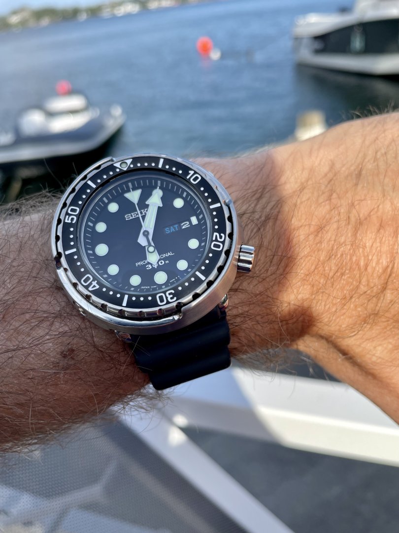 IMG_1973.jpeg IMG_1973.jpeg