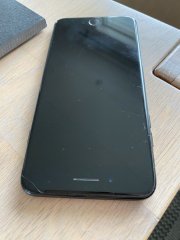 IMG_6743.jpeg IMG_6743.jpeg