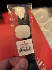 IMG_4596.jpeg IMG_4596.jpeg