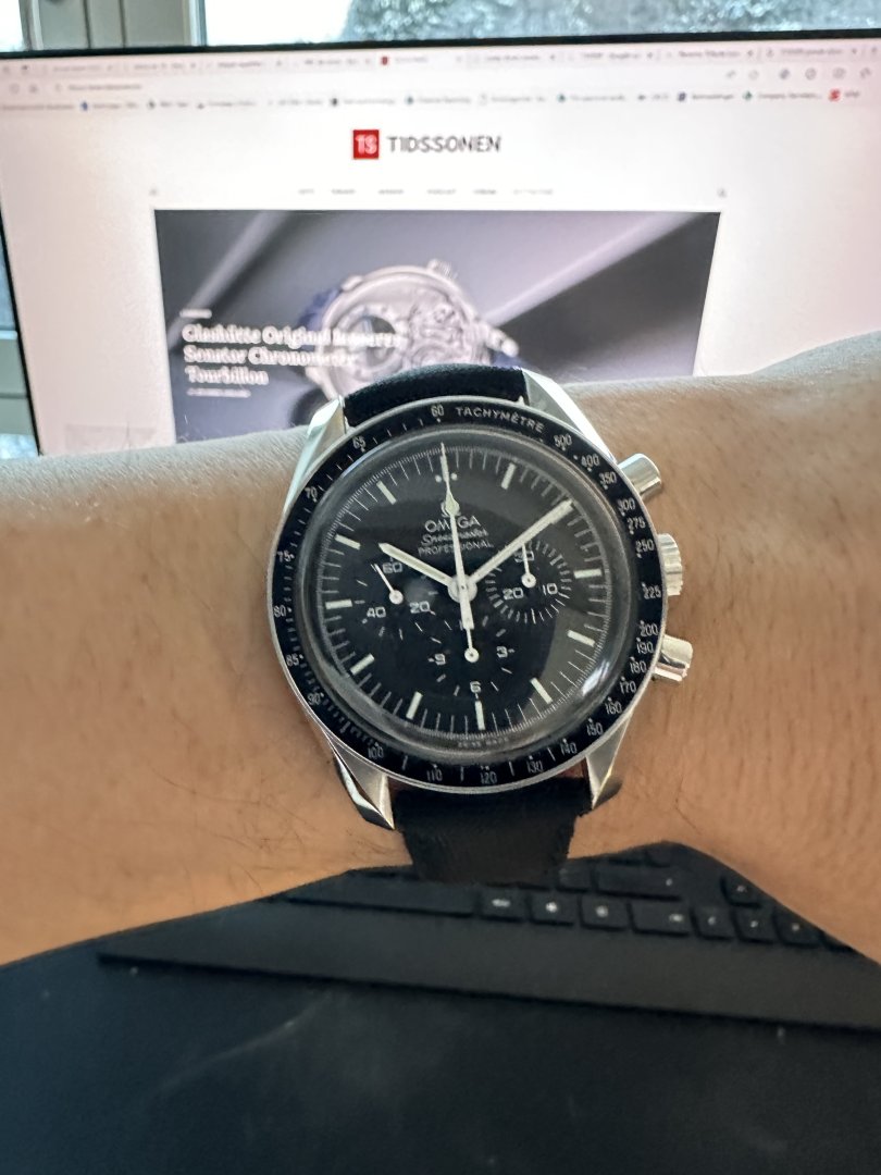 Moonwatch.jpg Moonwatch.jpg
