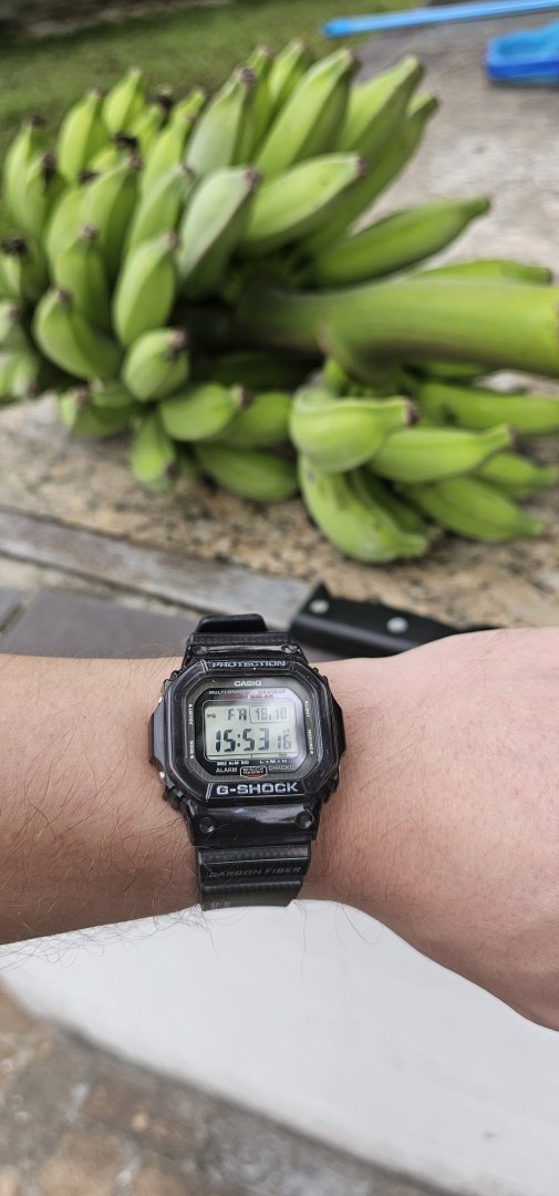 1000037927.jpg