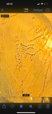 90A1D691-6629-45E4-B4E7-6AC7D8826134.png