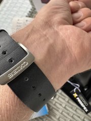 IMG_5906.jpeg