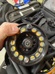 IMG_1035.jpeg