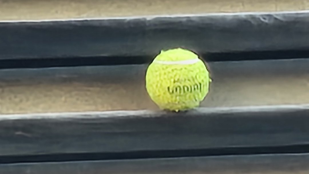 1000015225.jpg