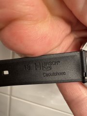 IMG_7023.jpeg