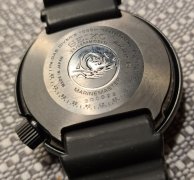 IMG_1208.jpeg