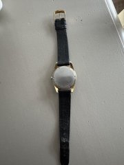 IMG_7075.jpeg