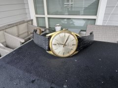 IMG_6879.jpeg