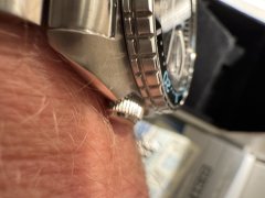 IMG_7284.jpeg