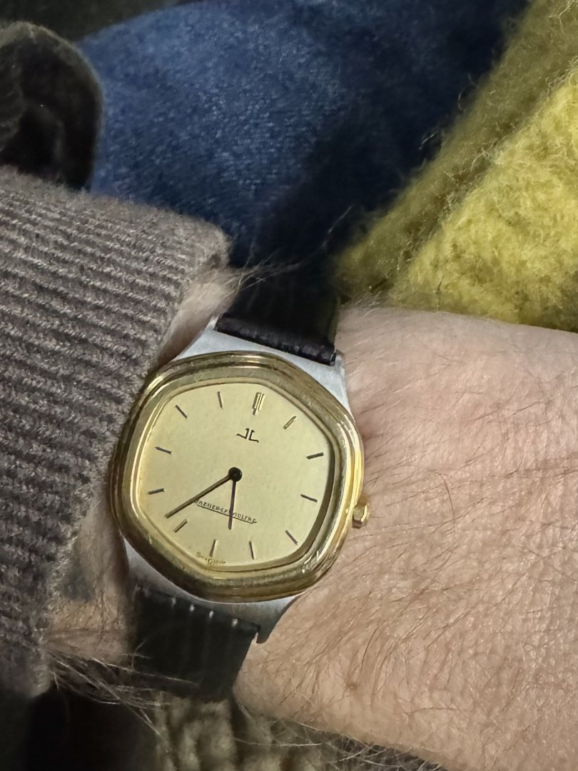 IMG_5560.jpeg IMG_5560.jpeg