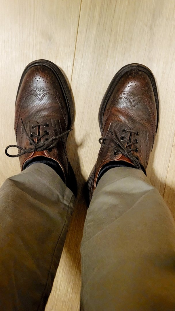 20250120_091227.jpg