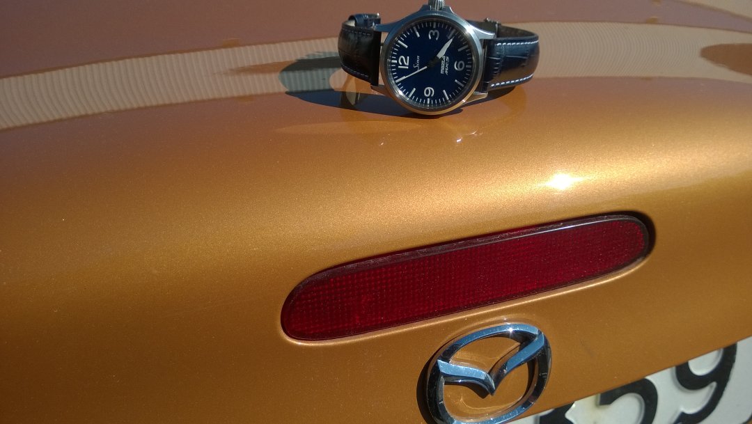 Sinn MX5 (2).jpg
