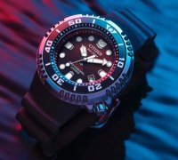 IMG_1238.jpeg