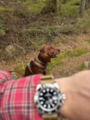 IMG_1369.jpeg