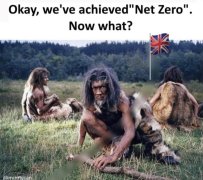 IMG_2600.jpeg
