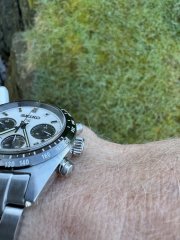 IMG_9392.jpeg