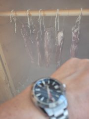 20250504_123353.jpg