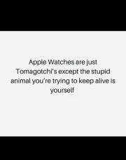 IMG_5713.jpeg